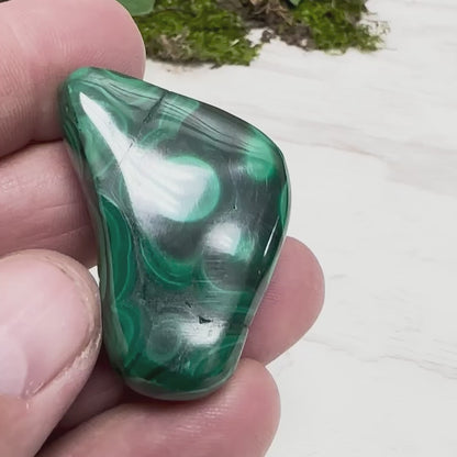 1.75" Malachite Polished W