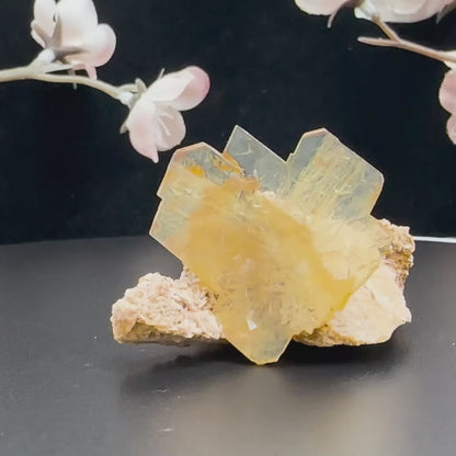 1.75" Glass Windowpane Yellow Barite B