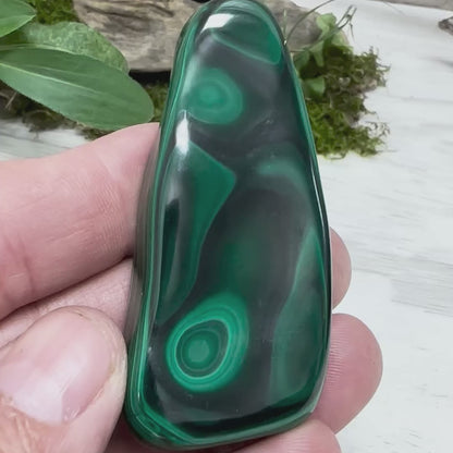 2.5" Malachite Polished M