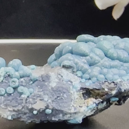 1.75" Botryoidal Chrysocolla on Quartz B