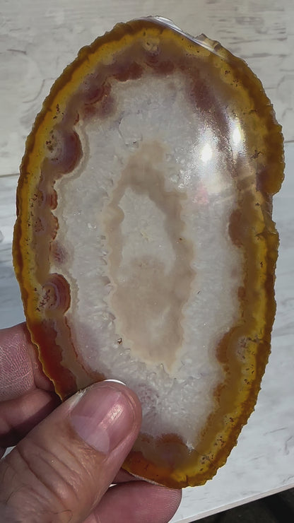 Sliced Agate from Brazil -C