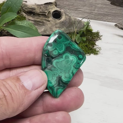 1.50" Malachite Polished S