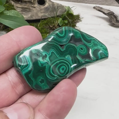 2" Malachite Polished H