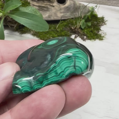 2.5" Malachite Polished K